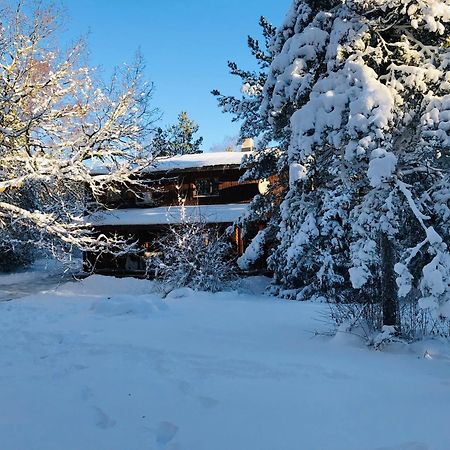 Kibuvitsa Holiday House Muratsi Экстерьер фото